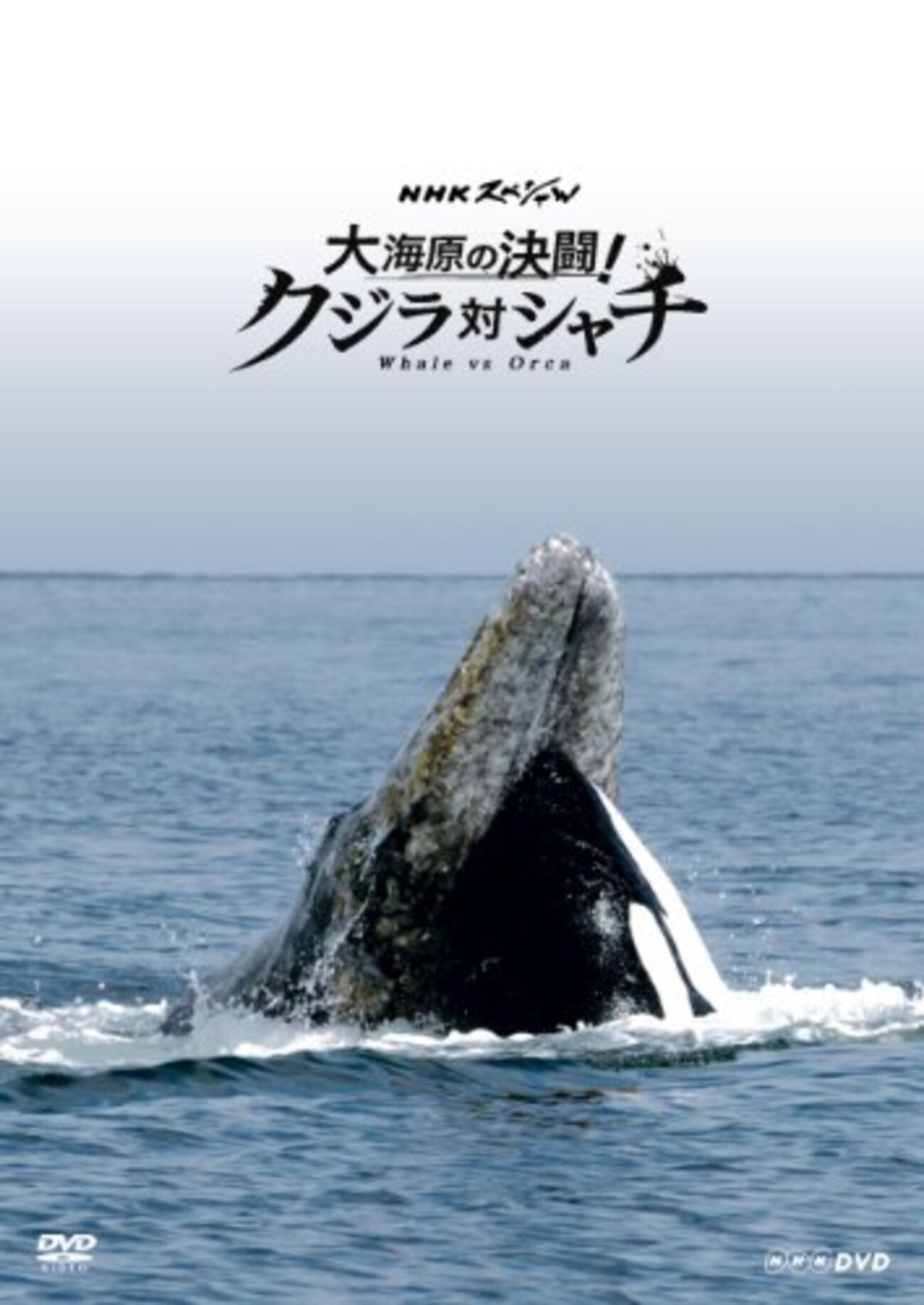 シーソー　クジラ zk-00002-1.jpg