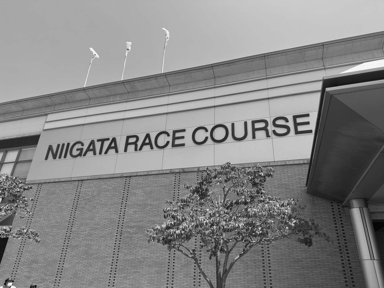 新潟グルメで食い倒れ！灼熱の新潟競馬場＠Day1 - 1978 －アラフォー