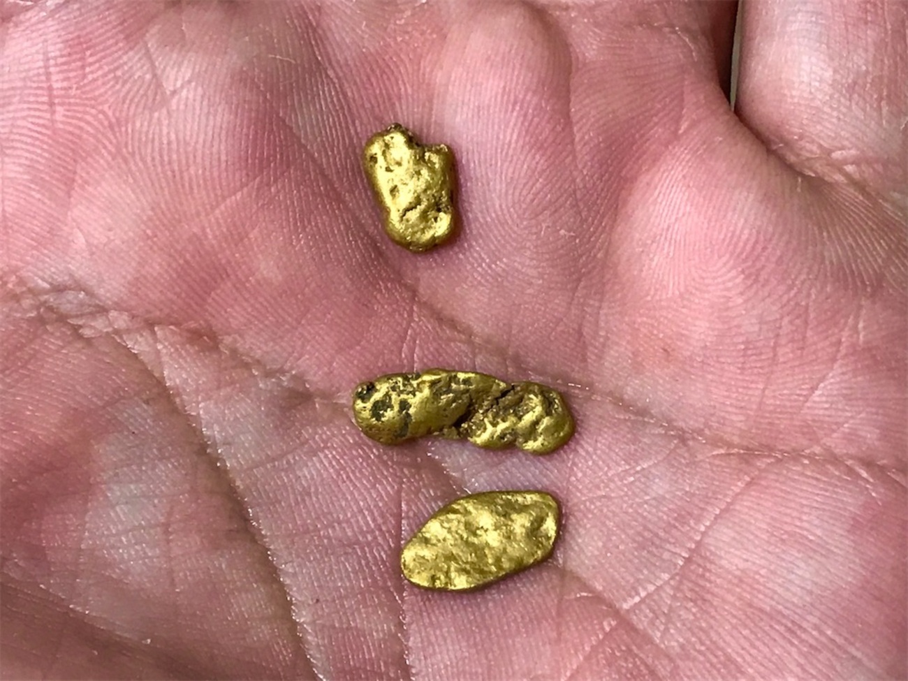 backend=imagemagick;version=1;