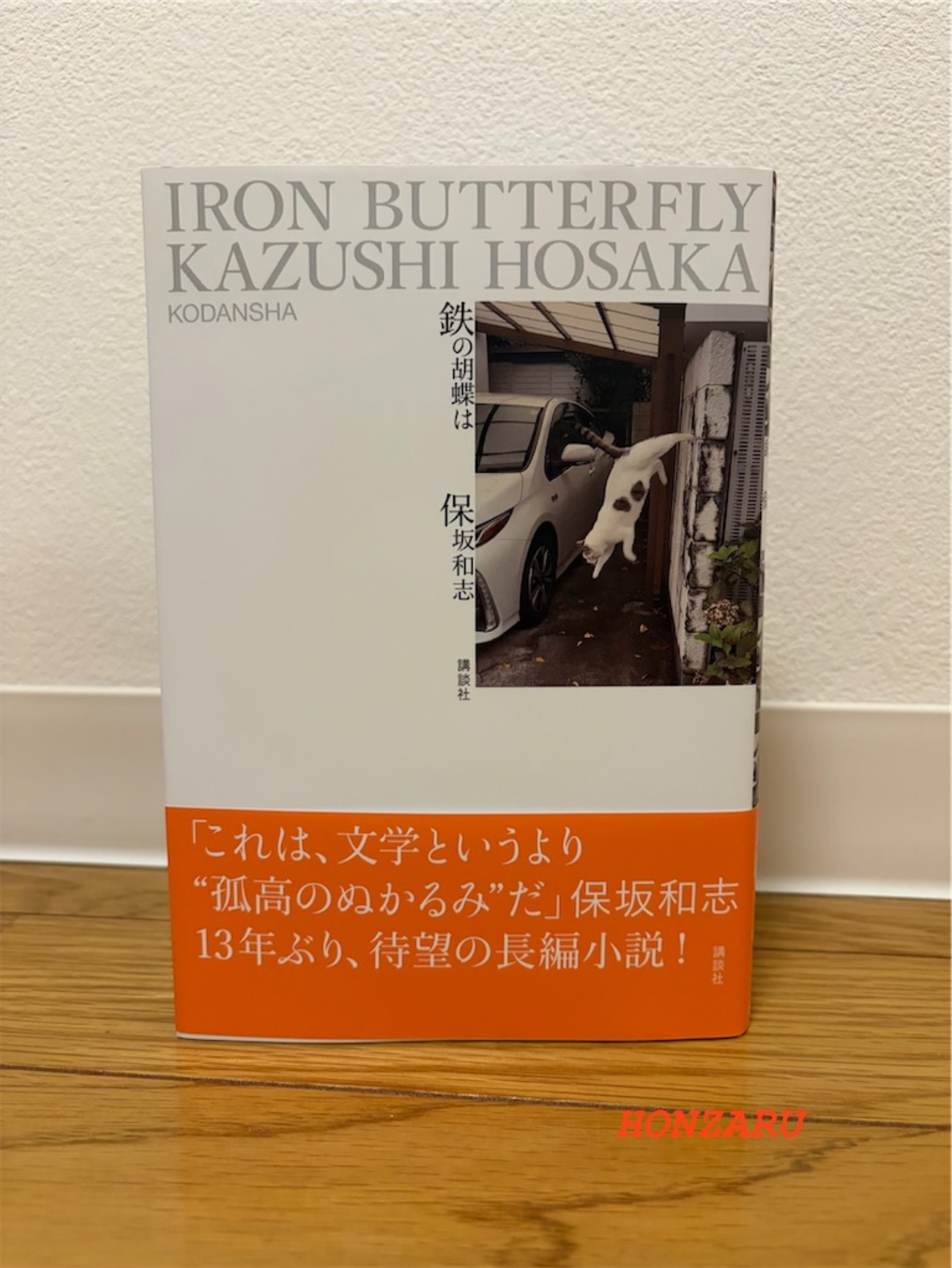 鉄の胡蝶は』保坂和志｜芳醇な言葉の渦に飲み込まれる - 書に耽る猿たち