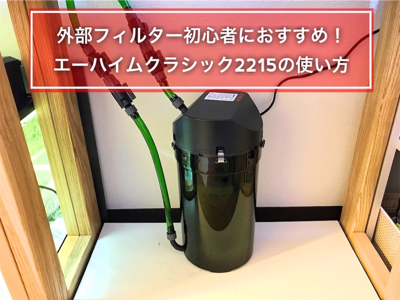 外部フィルター初心者におすすめ！エーハイムクラシック2215の使い方 