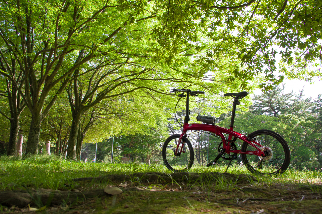 折りたたみ自転車のtern Verge N8を購入しました！ - 二輪祭