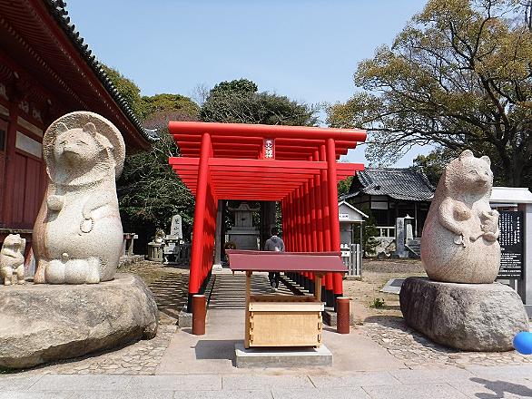 太三郎狸とは 動植物の人気 最新記事を集めました はてな 太三郎狸とは 動植物の人気 最新記事を集めました はてな