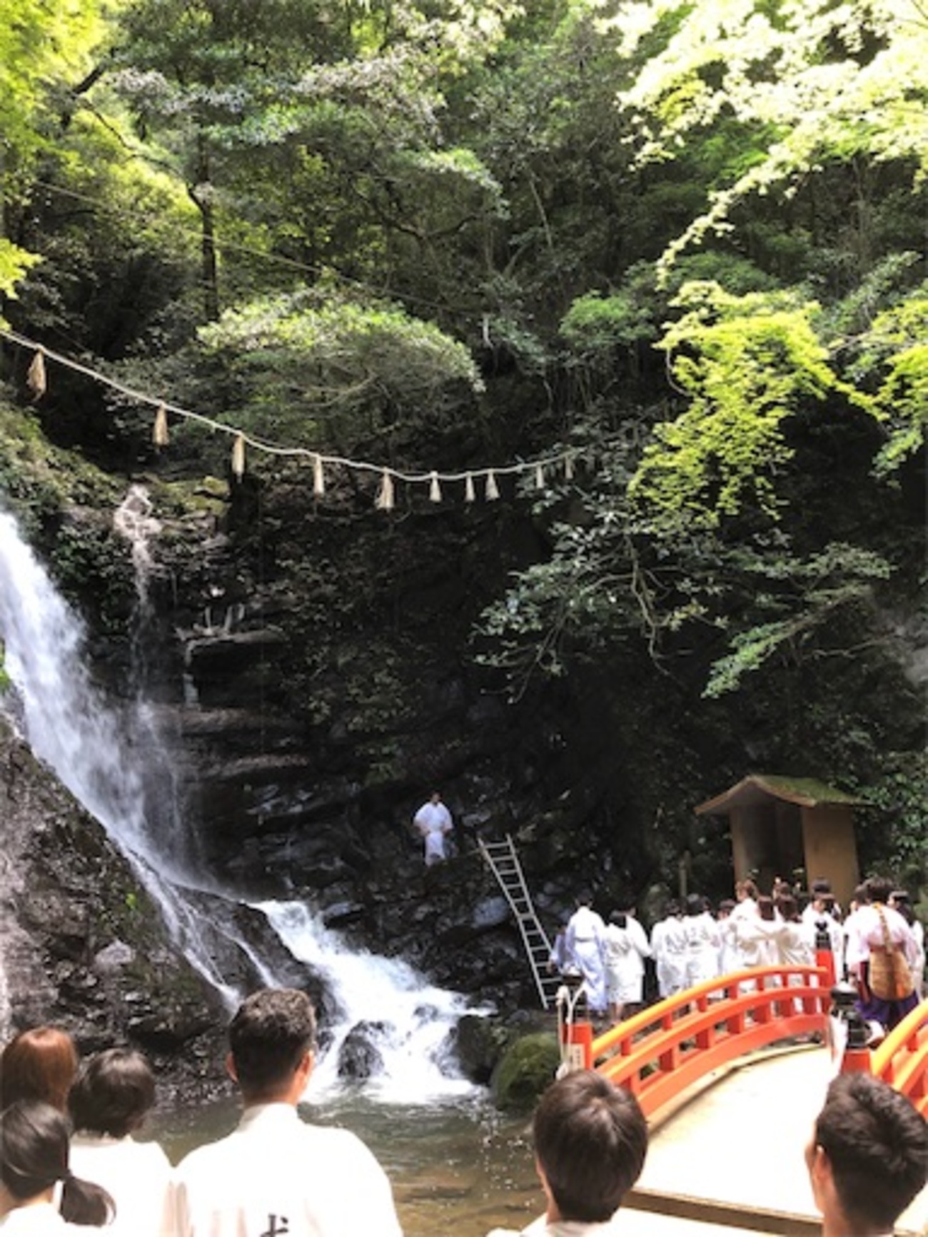 関西 滝 行