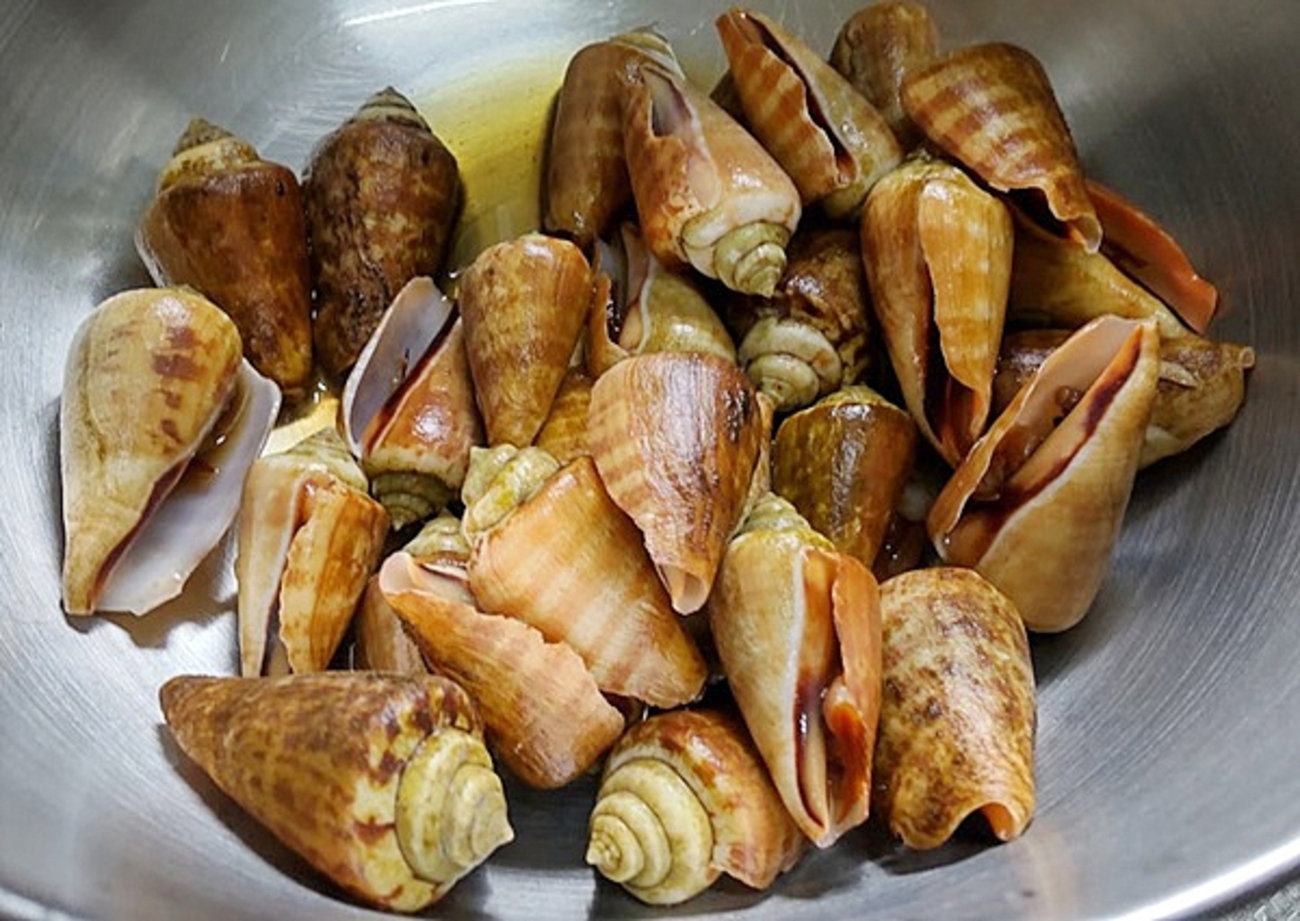 高知県産チャンバラ貝を食べるよ【マガキガイ】 - ヤギネの食レポブログ