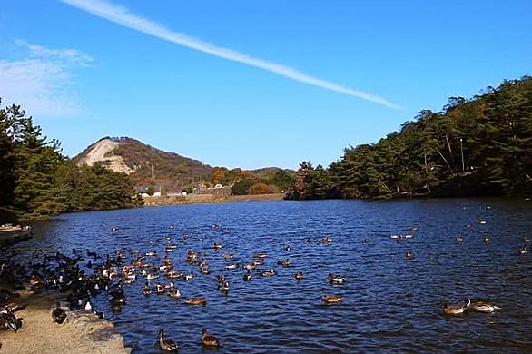 ファッションセンターしまむらとは 一般の人気 最新記事を集めました はてな