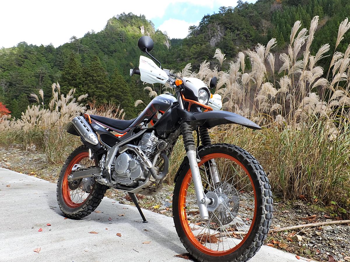 セロー250 カテゴリーの記事一覧 オフロード初心者の セローと遊ぼう