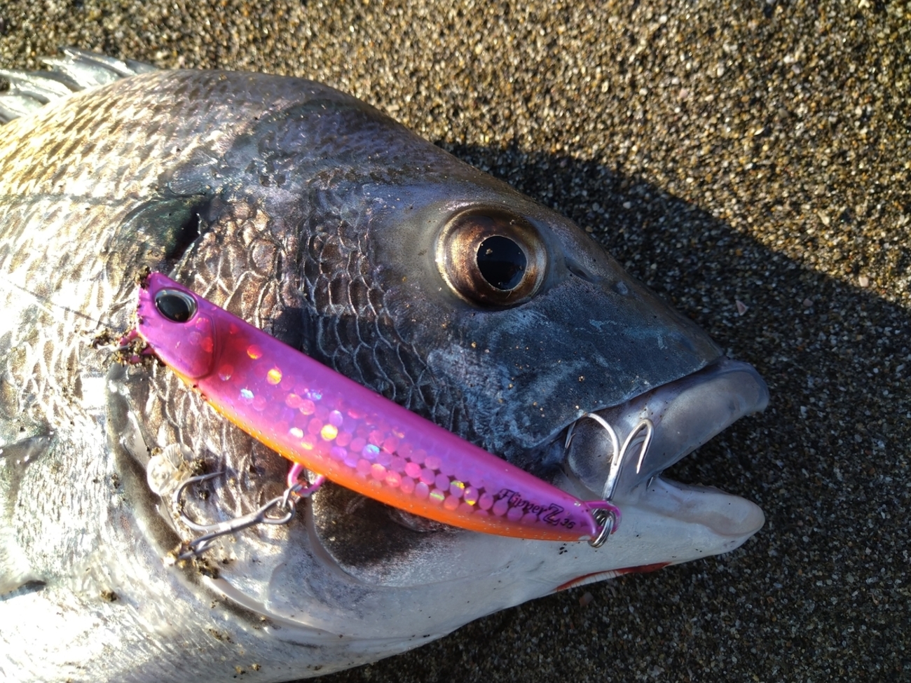 サーフフィッシングルアー(フリッパー、ジョルティ他) 最強ジグヘッドワーム】ブルーブルーのジョルティを徹底インプレ