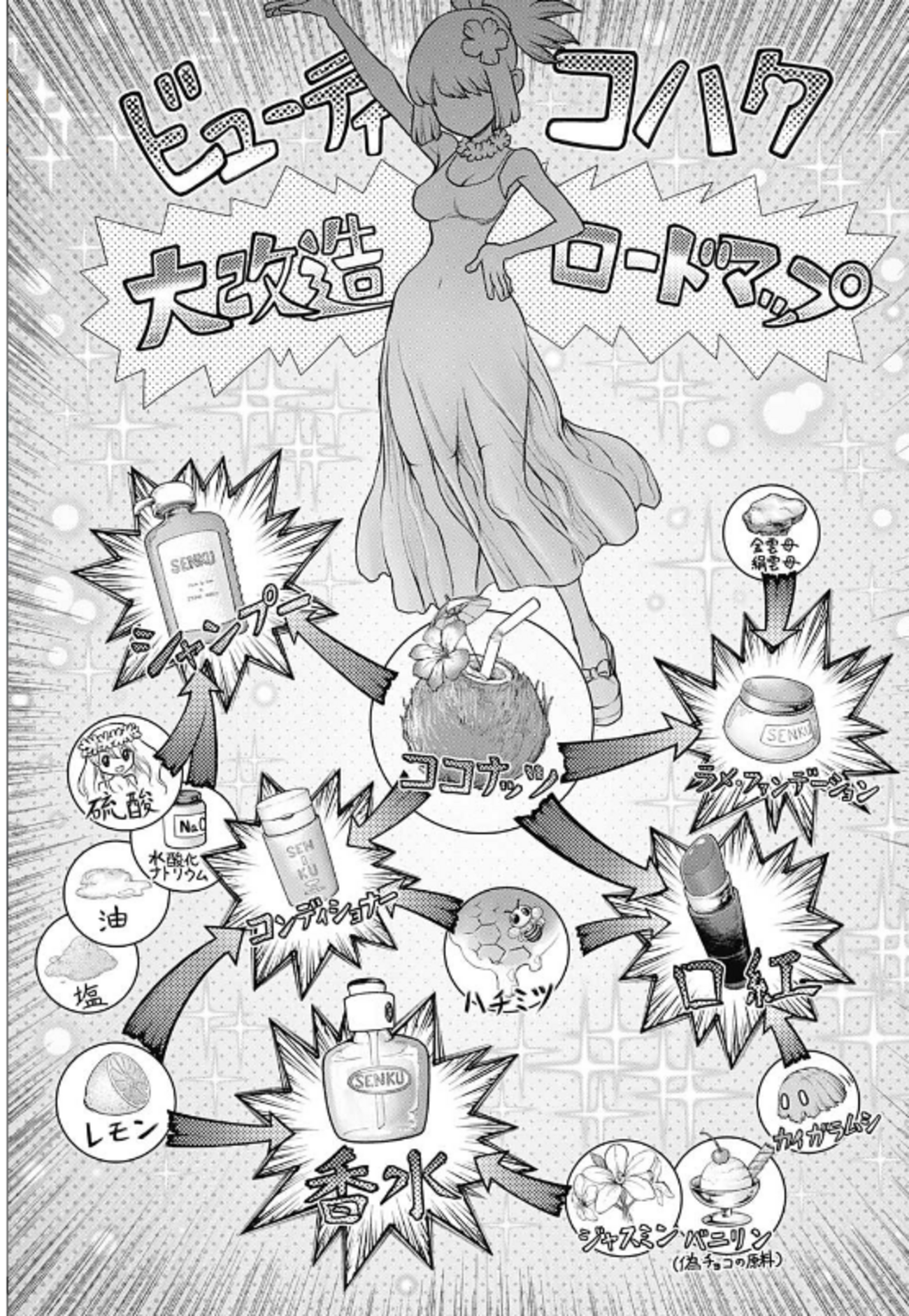 ビューティコハク大改造ロードマップ(Dr.STONE ドクターストーン