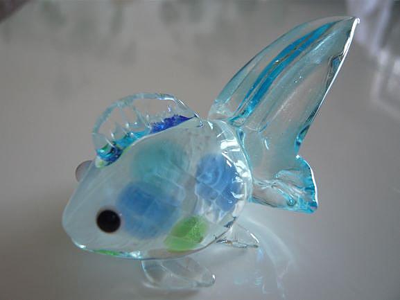 病気 ケガ カテゴリーの記事一覧 すくい金魚