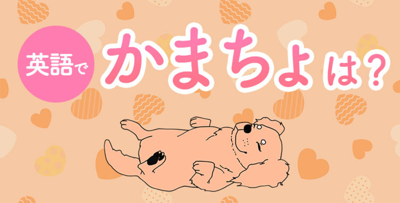 かまちょ」の英語表現ご紹介！そもそも英語で表現できる？ - ネイティブキャンプ英会話ブログ | 英会話の豆知識や情報満載