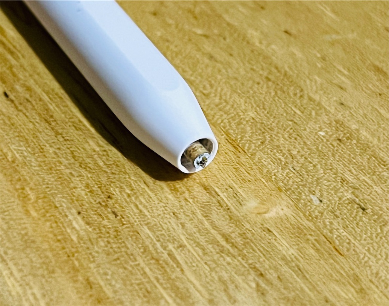 2025保証】Apple Pencil なつかしい Pro アップル ペンシル プロ＿2