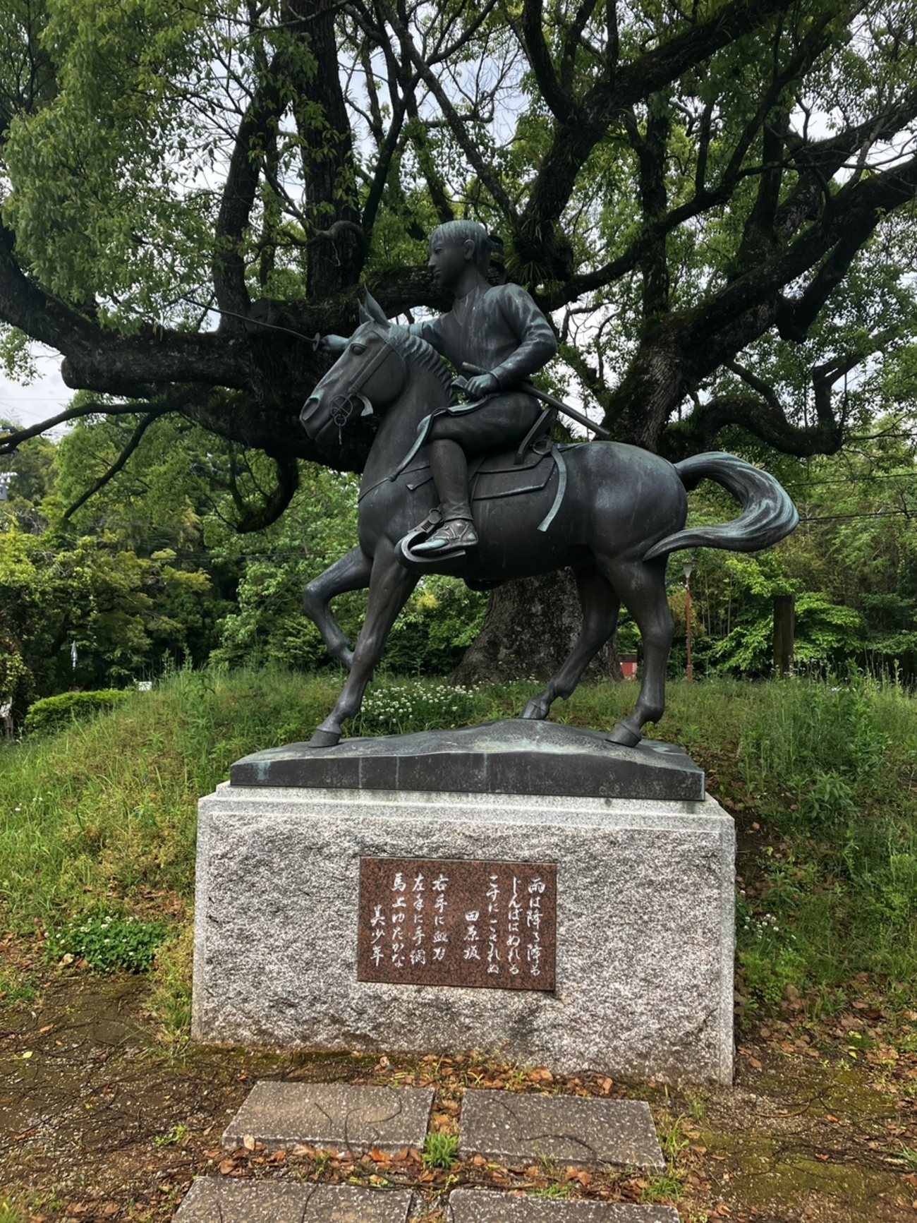 backend=imagemagick;version=1;