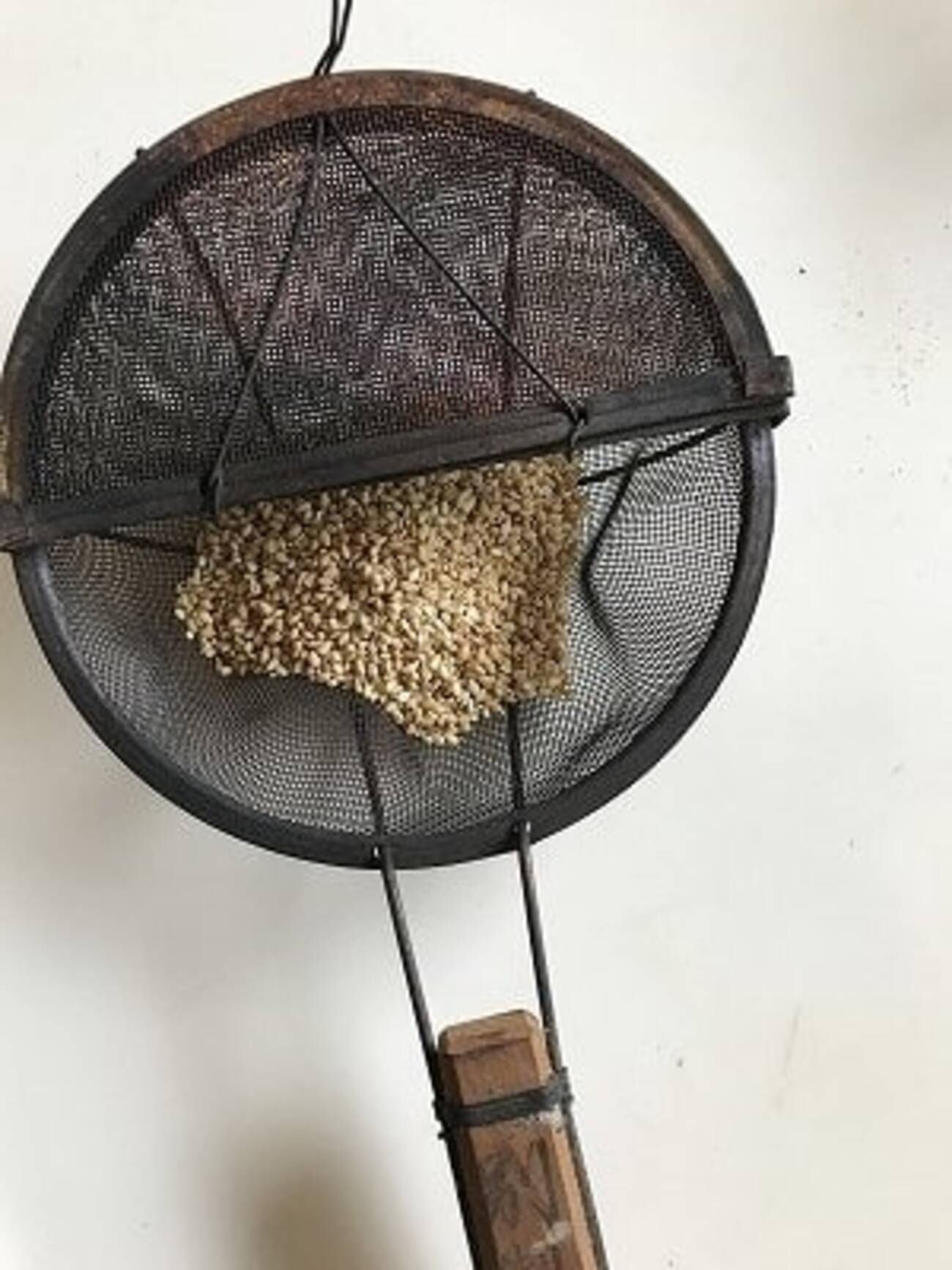 すり鉢で冷や汁作る - こもれびの日記