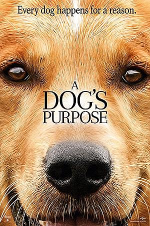 愛犬家とは 動植物の人気 最新記事を集めました はてな 愛犬家とは 動植物の人気 最新記事を集めました はてな