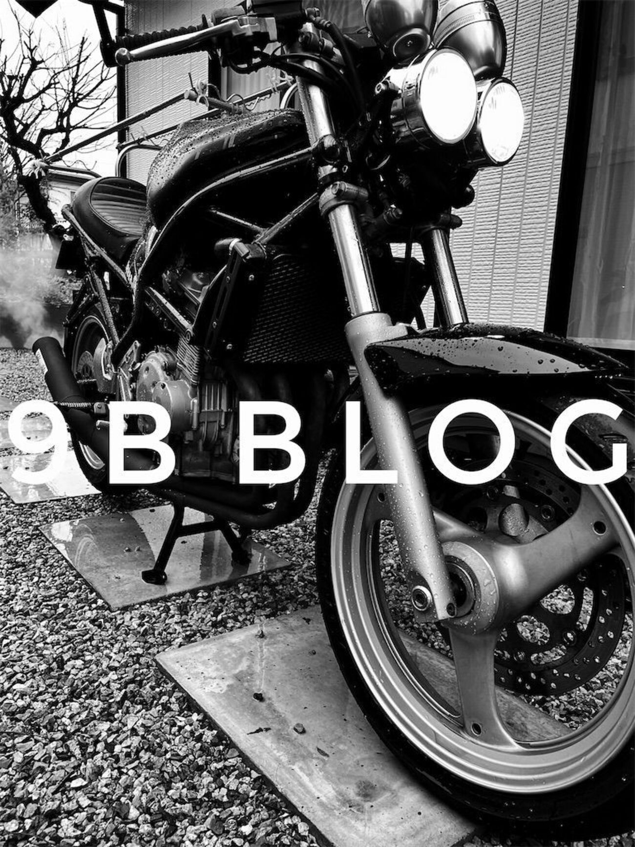 backend=imagemagick;version=1; 