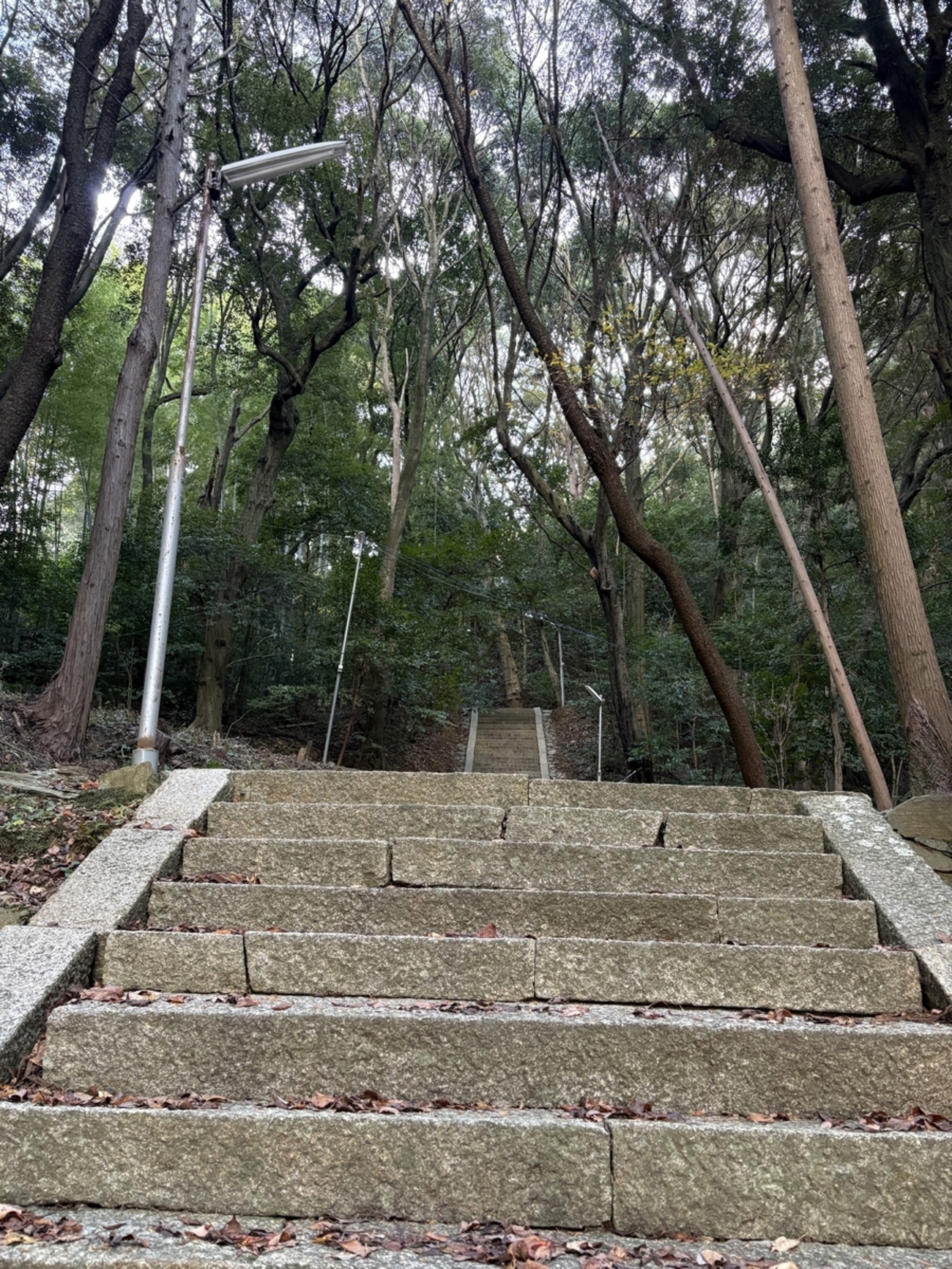 静かな日々に階段を♪ - 転がる石に苔むさず