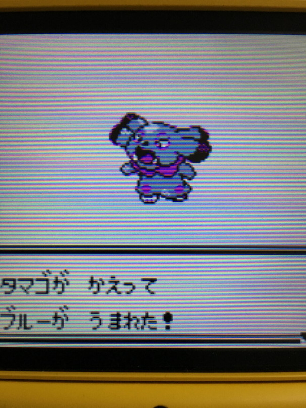 色違いポケモン紹介】VC産ブルー - 自由に生きてあそBlog