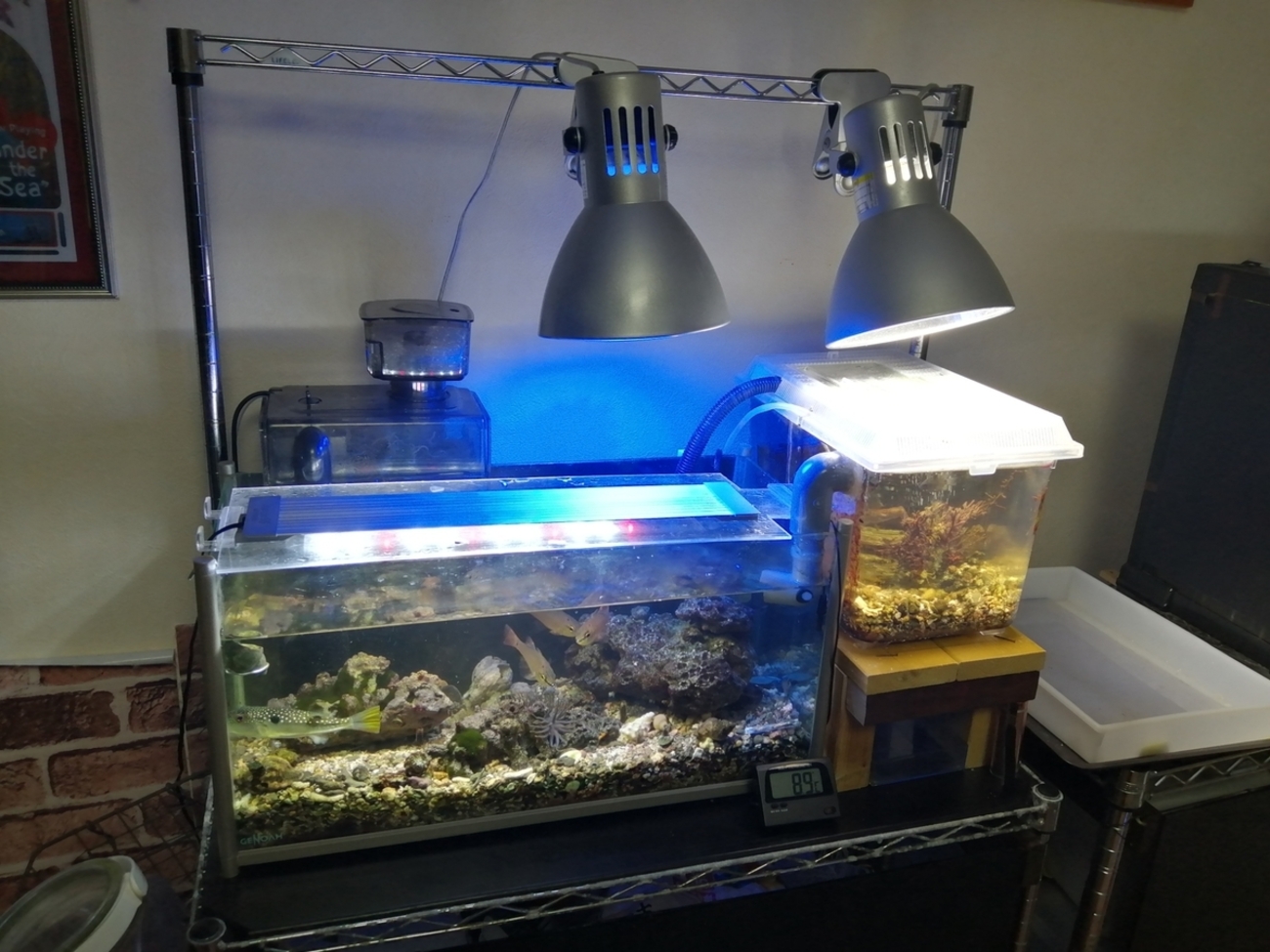 カミハタ ヴォルテス 30W ヴォルテス買ったんでいろいろ遊んでみた