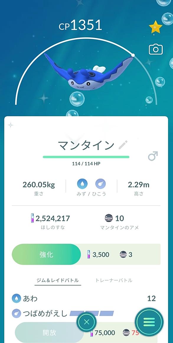 マンタインとは ゲームの人気 最新記事を集めました はてな