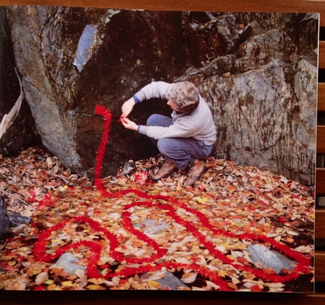 アンディゴールズワージー 落ち葉 Andy goldsworthy アンディー 