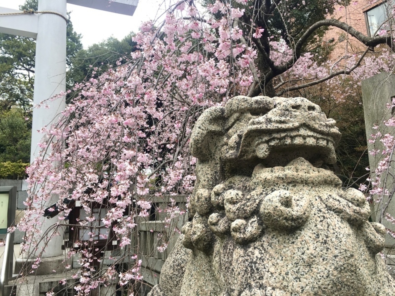 乃木大将夫妻を祀る赤坂の乃木神社 - 燈蓮寺伽藍堂 -RISING FALCON-