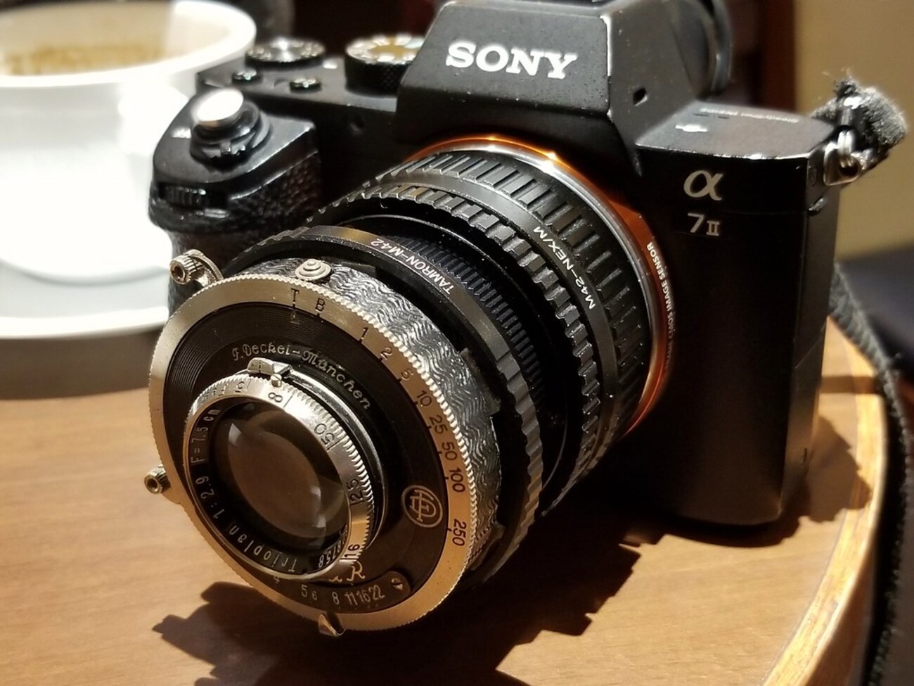 DDRオールドレンズ】Trioplan 7.5cmF2.9でバブルボケを楽しむ【α7II