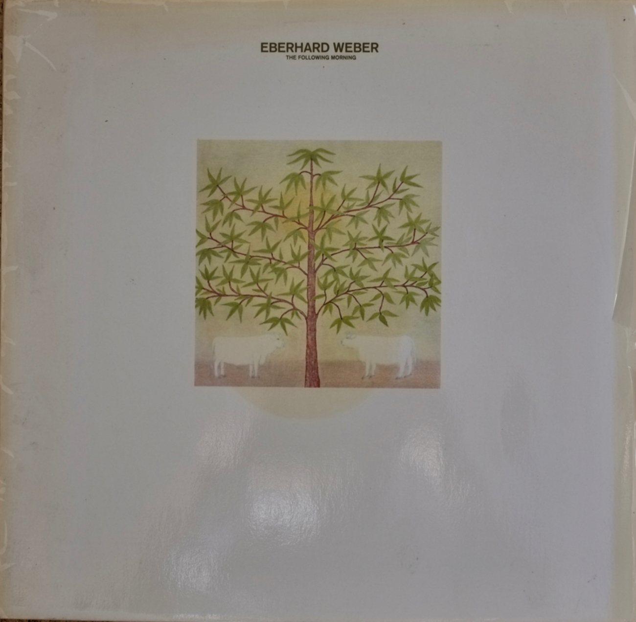 ECM1084) Eberhard Weber: The Following Morning (1976) どう聴いても 