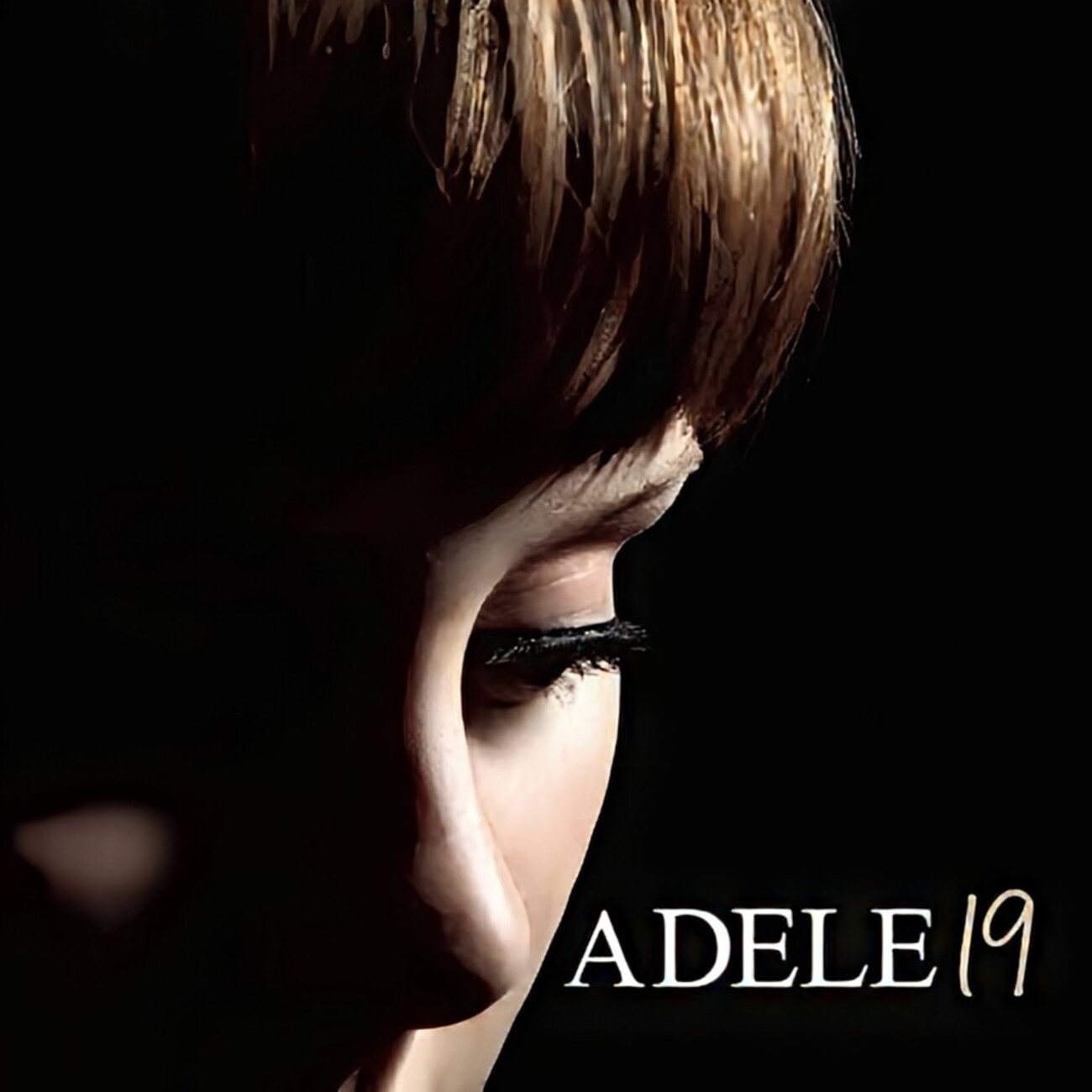 Adele - Make You Feel My Love - shimaの趣味的生活 since2006 人はパンのみに生きるにあらず