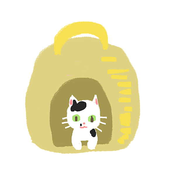 猫ちぐらとは 動植物の人気 最新記事を集めました はてな 猫ちぐらとは 動植物の人気 最新記事を集めました はてな