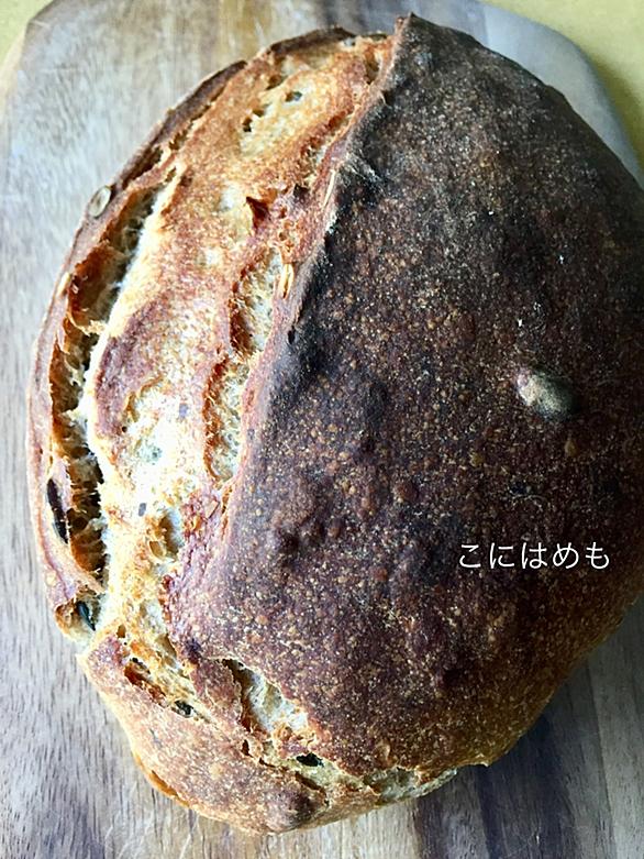 かぼちゃの種とは 人気 最新記事を集めました はてな
