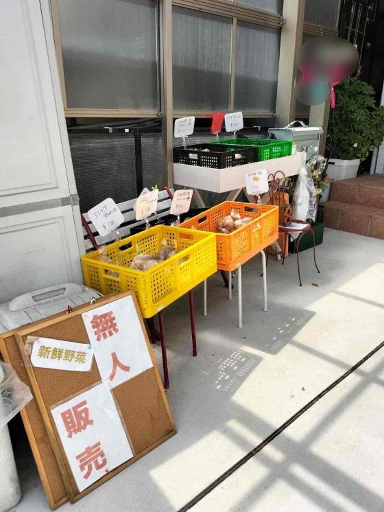 今津｜ハンドメイドのお店「ひまる」で始まった無人野菜販売