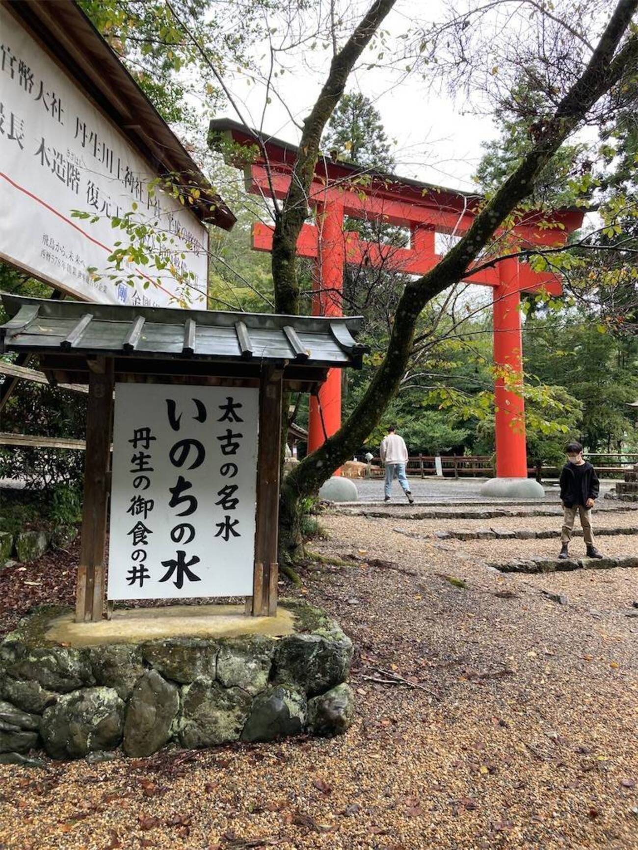 奈良/吉野郡】丹生川上神社 下社 ハート模様の御神木 - シロンプトンで 