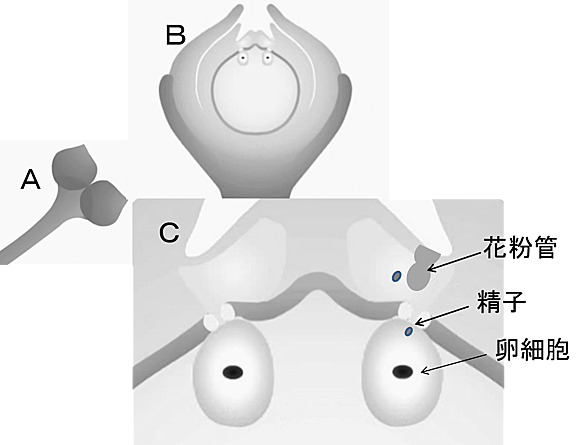 哲学者とは 一般の人気 最新記事を集めました はてな