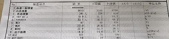 無痛分娩 自閉症 ブログ