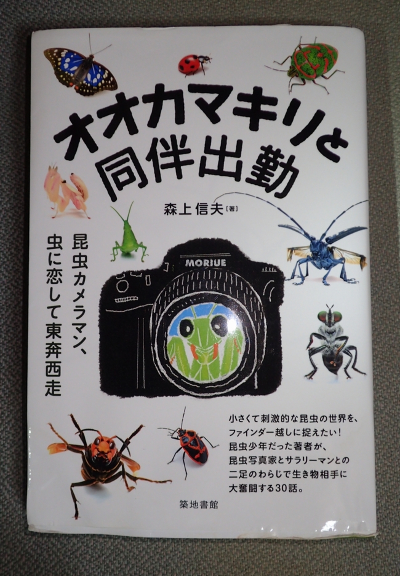 backend=imagemagick;version=1;
