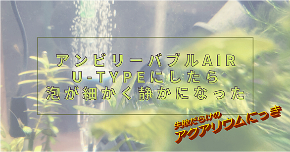 ミナミヌマエビとは 動植物の人気 最新記事を集めました はてな