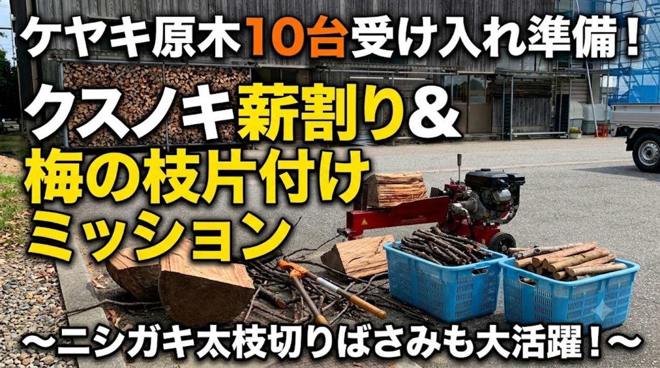 薪作りDIY】軽トラ10台分のケヤキ原木が来る！その前に駐車場を 