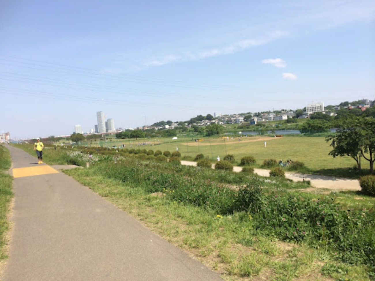 「武蔵小杉」で立ち止まり、人生を立て直したあの頃。｜文・紺野あさ美