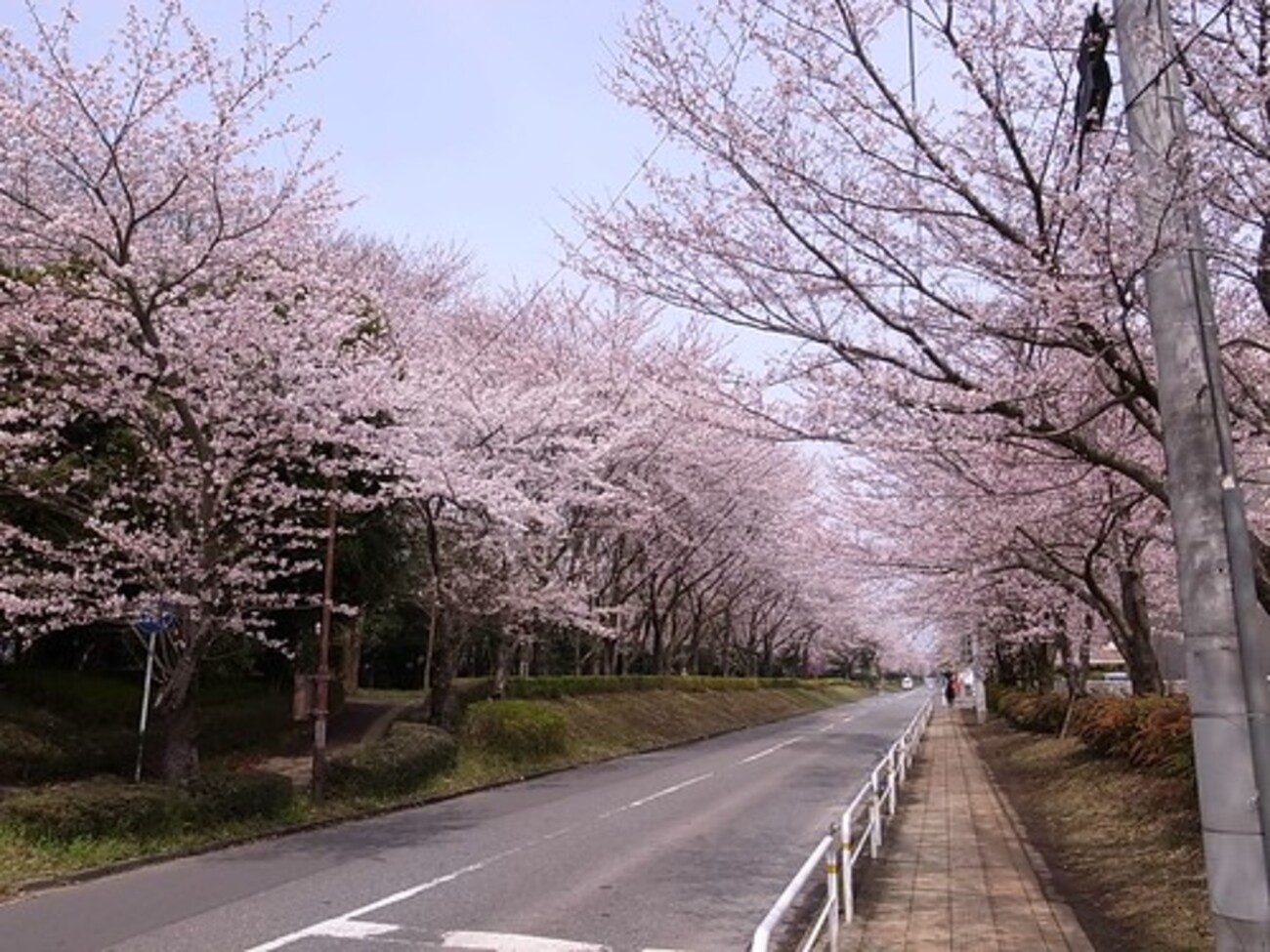 lycee　偶然の再会　玉樹桜　SP sddefault.jpg