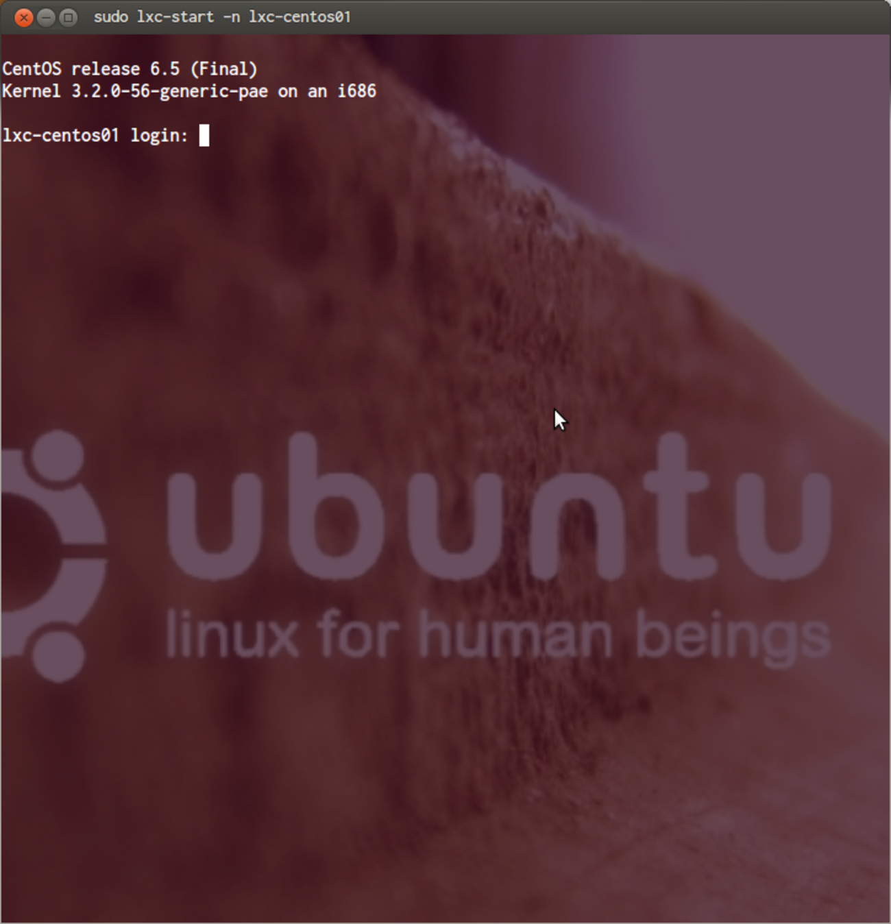 LXC使ってUbuntu上でCentOSを動かしてみた。 - Develop with pleasure!