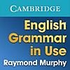 English Grammar in Use: Sample