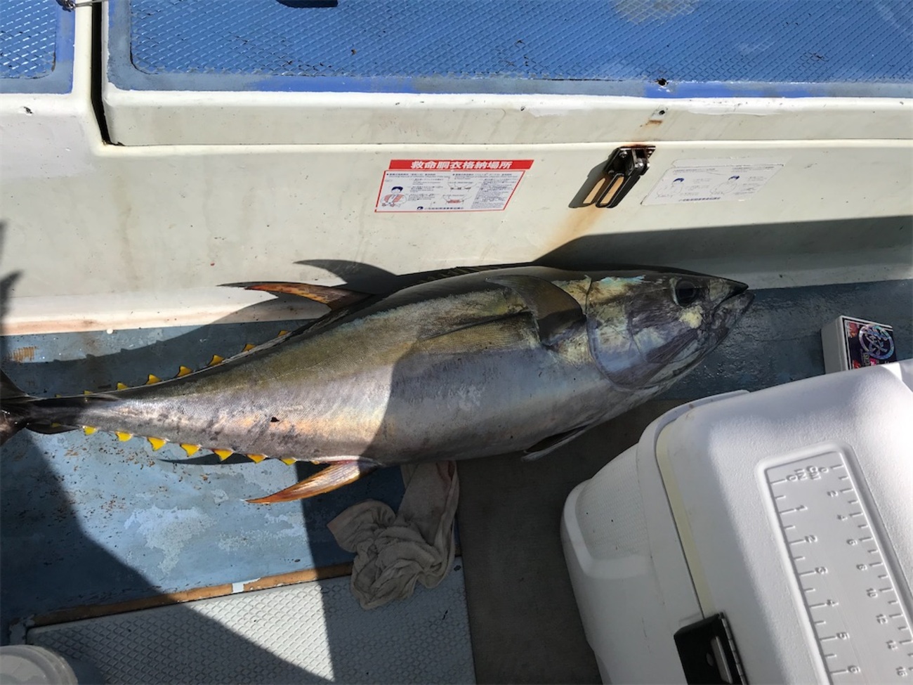 初心者向け】コマセカツオ・キハダ釣りについて - 東京湾・相模湾の沖 