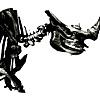 光の射す方へ