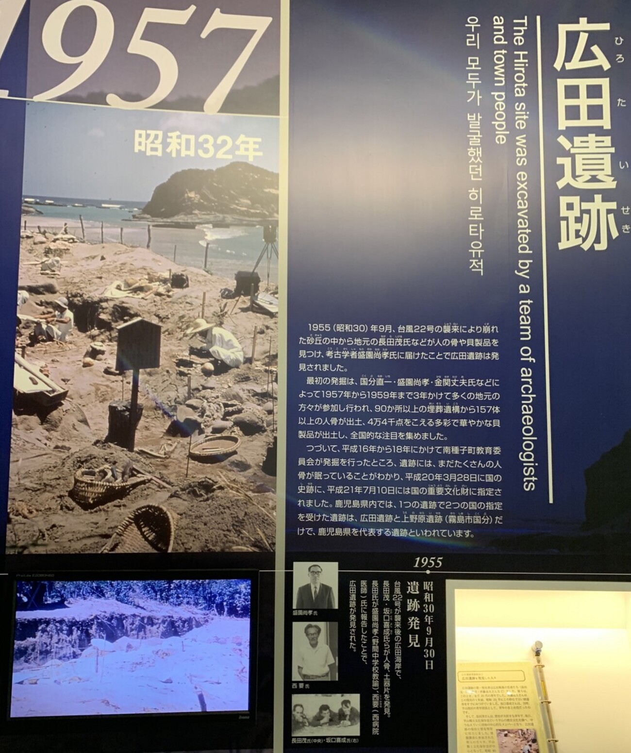 頸城地方の海と海底・海浜遺跡 (1972年) (上越市立総合博物館教養選書) 頸城地方の海と海底・海浜遺跡 (1972年) (上越市立総合博物館教養選書