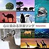 イフ・ユー・ドント・ノー・ミー・バイ・ナウ イフ・ユー・ドント・ノー・ミー・バイ・ナウ