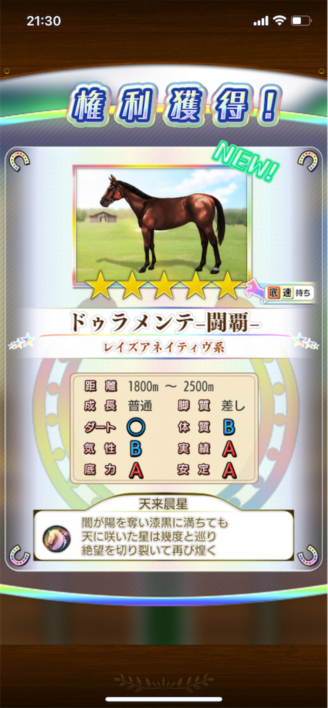 第5回ダビマス王座決定戦を終えて〜2495年〜 - 原点〜18番人気1着〜