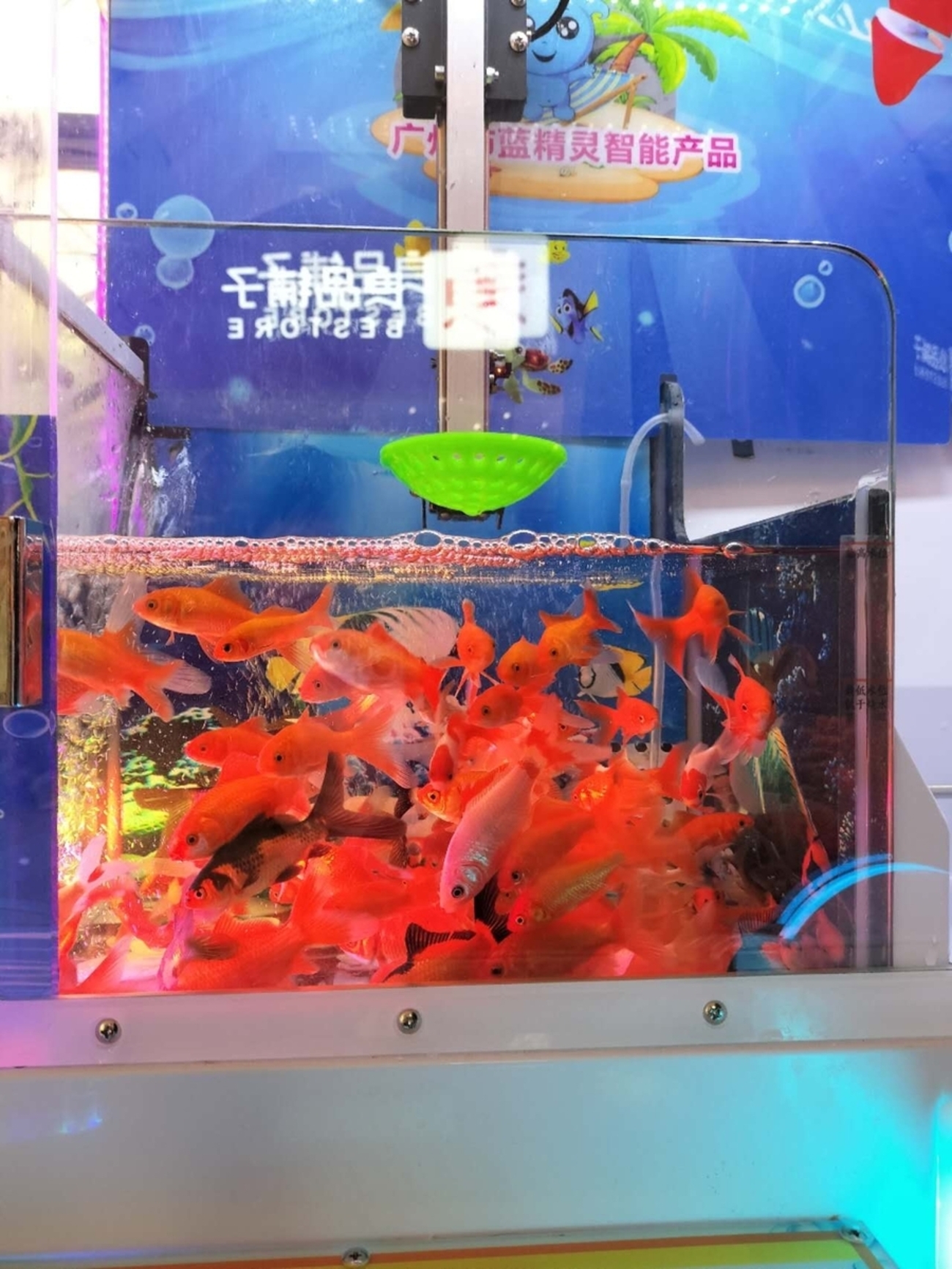 中国河南省開封市、金魚すくいUFOキャッチャー（クレーンゲーム）の 