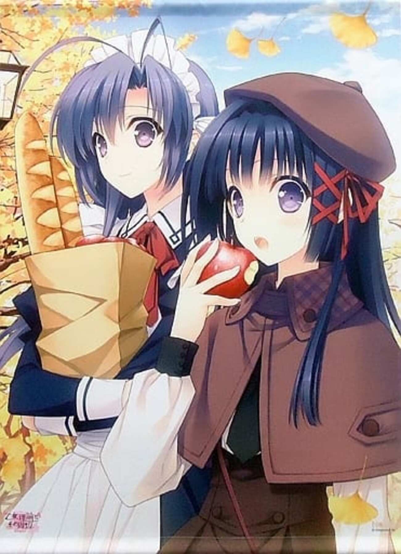 今大蔵りそな＆小倉朝日 B1AJWタペストリー 「乙女理論とその周辺」に 