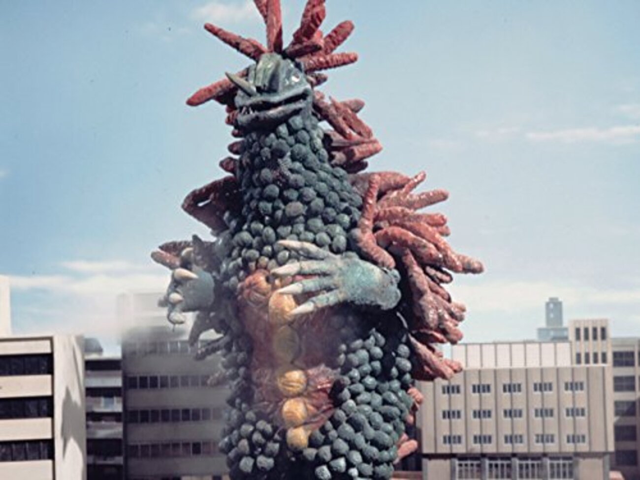 backend=imagemagick;version=1;